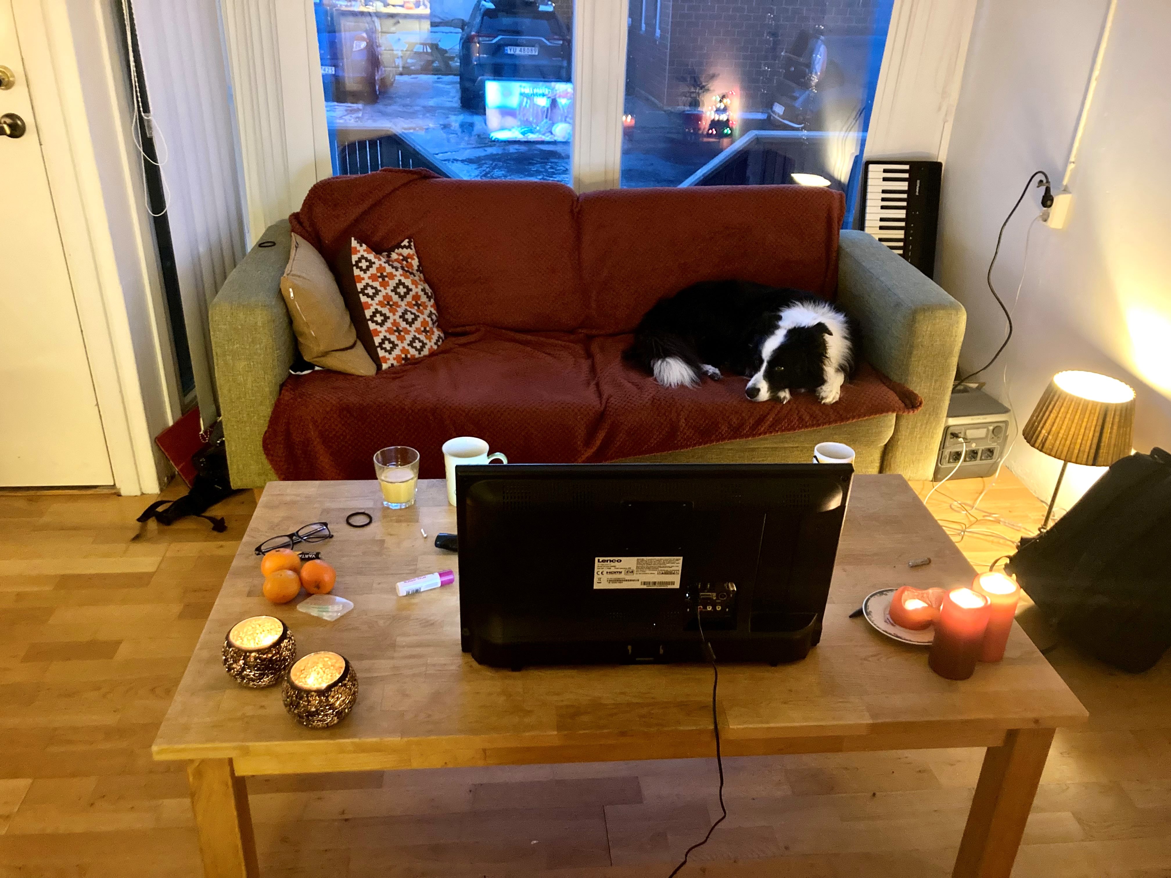 Marley tv kijken.jpg